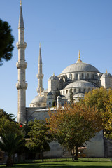 Fototapeta premium blue mosque in istanbul