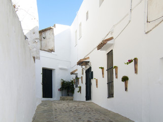 Fototapeta na wymiar typical Andalusian street with whitewashed houses