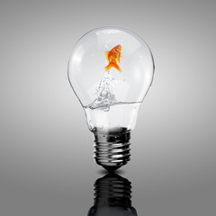 Gold fish inside an electric bulb