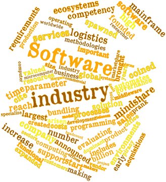 Word cloud for Software industry