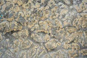 Dried mud texture