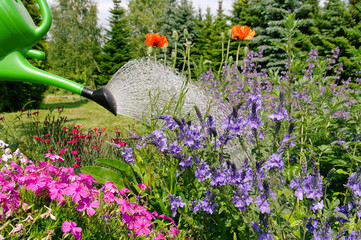 Blumen giessen - flower watering 01