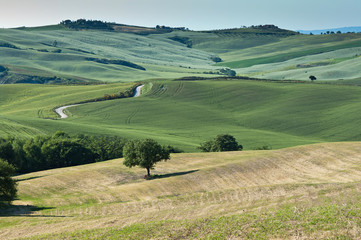 verde dei prati in Toscana