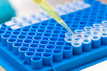 Pipette