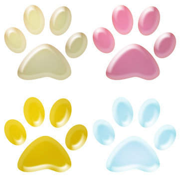 3d coloured pet paws