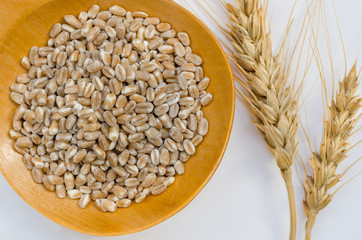 Wheat grains and ears