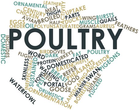 Word cloud for Poultry