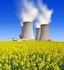 Nuclear power plant