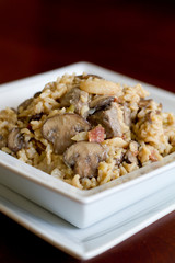 Pilau - Vertical