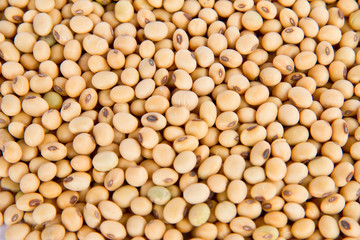 Image of close up of soya beans background