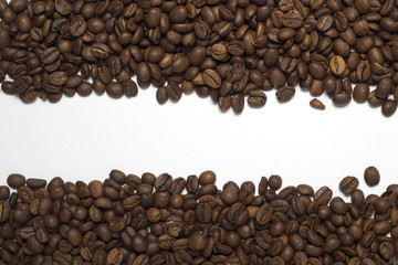 Coffee beans are laid out in two parts with white space