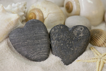 maritimes Stilleben © Sunnydays