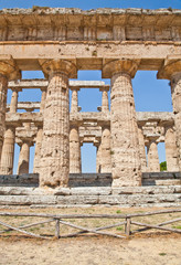 Paestum temple - Italy