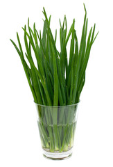 spring onion in a glass