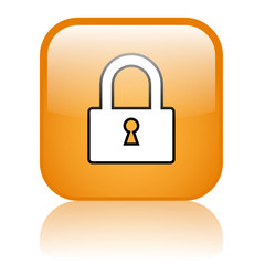 SECURE ACCESS Web Button (security internet connection padlock)