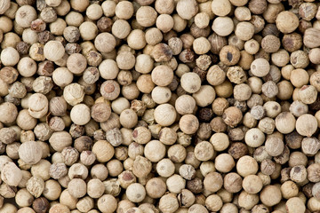 White Peppercorns (Piper nigrum)