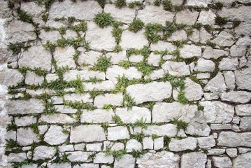 Stone wall covered moss and plants texture background