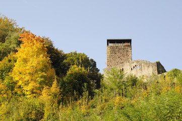 Hinterburg in Neckarsteinach