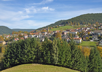 Fototapeta na wymiar der beliebte Urlaubsort Baiersbronn im Schwarzwald