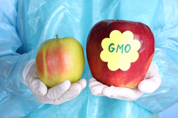 A scientist holds a genetically modified apple - obrazy, fototapety, plakaty