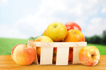 Fresh and colorful apples in basket