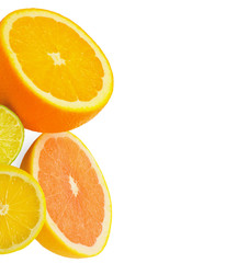 Fototapeta premium Citrus fresh fruit