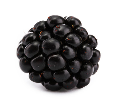 beautiful blackberry isolated on white