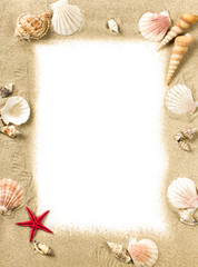 Sea shells frame