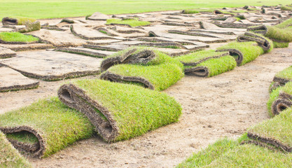Rolls of green grass, laying in progress.