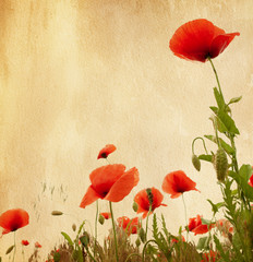 old paper texture with poppies