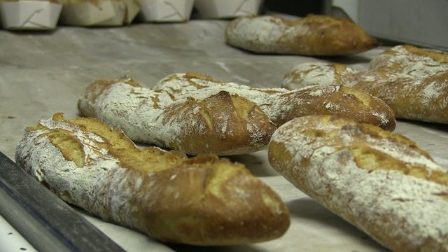 baguettes sorties du four