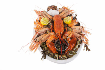 homard sur plateau de fruits de mer