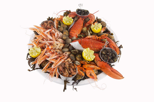 fruits de mer pr&eacute;sent&eacute;s dans un plateau