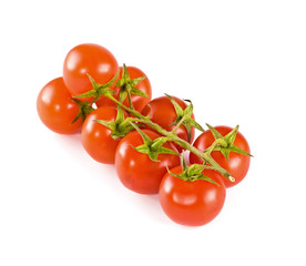 tomatoes on a white background