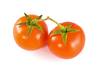tomatoes on a white background