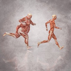 Anatomia Hombres Corriendo - obrazy, fototapety, plakaty