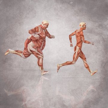 Anatomia Hombres Corriendo