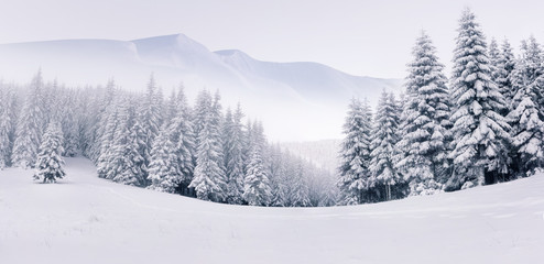 Fototapeta premium Panorama of the foggy winter landscape in the mountains
