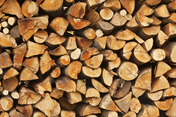 pile of logs for fire