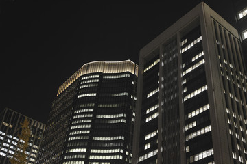 Night skycarpaer in Tokyo at dusk