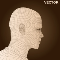 Vector conceptual wireframe human man head isolated