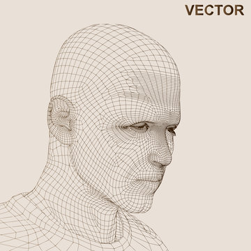 Vector conceptual wireframe human man head isolated