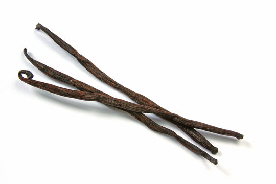 Vanille (Vanilla planifolia)