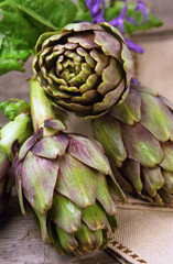 Carciofi - Artichokes