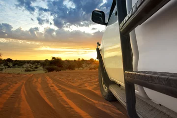 Zelfklevend Fotobehang kalahari safari © mezzotint_fotolia