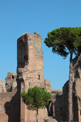 Caracalla