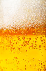 Beer background