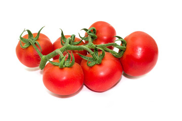 a group of small tomatos looks tasty
