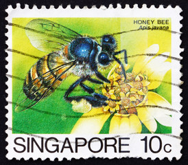 Postage stamp Singapore 1985 Honey Bee Collecting Nectar