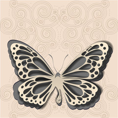 Paper butterfly